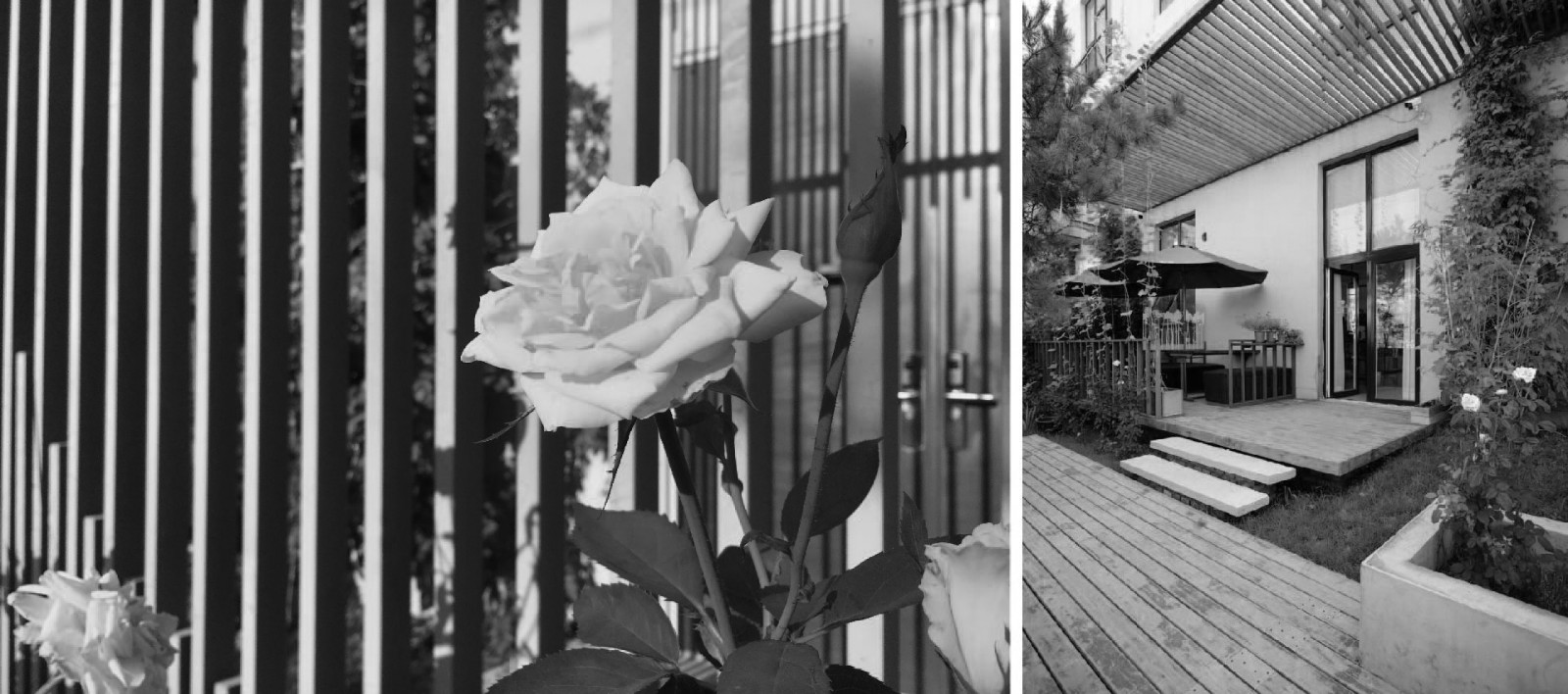 1555493221876641.jpg 1555493221876641.jpg