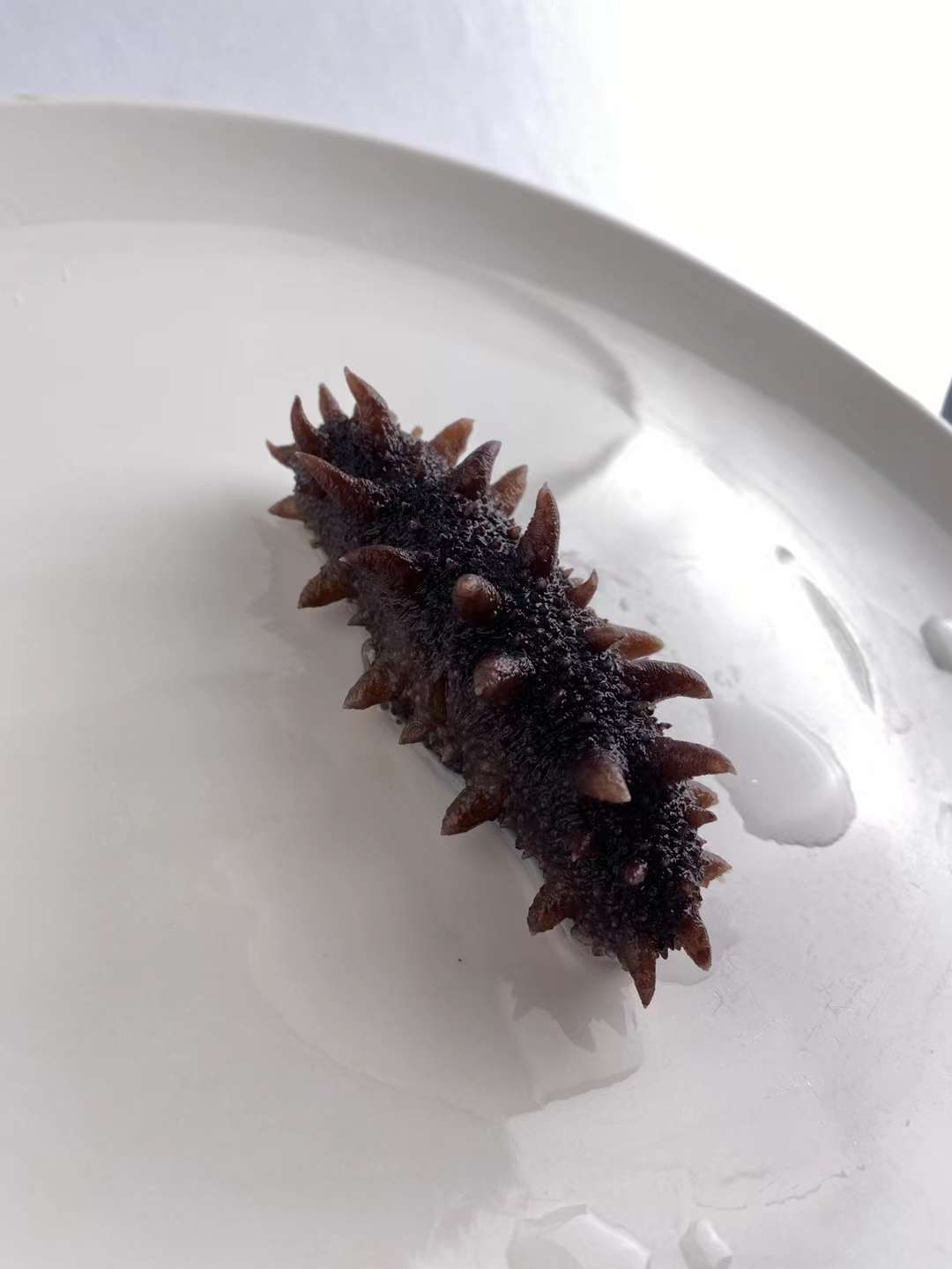 1665730900279865.jpg 海參包裝設(shè)計.jpg