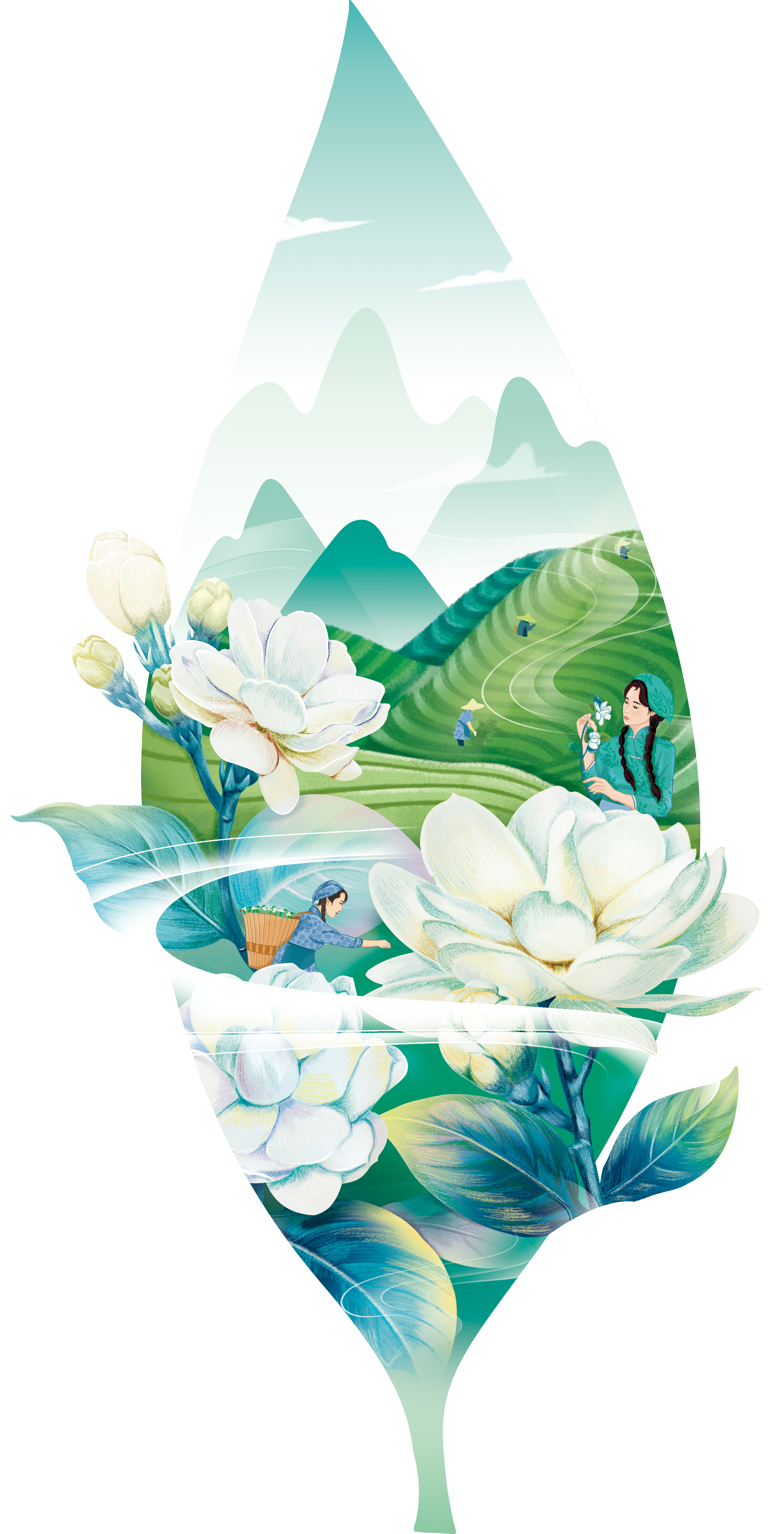 北京包裝設計公司吳裕泰插畫設計